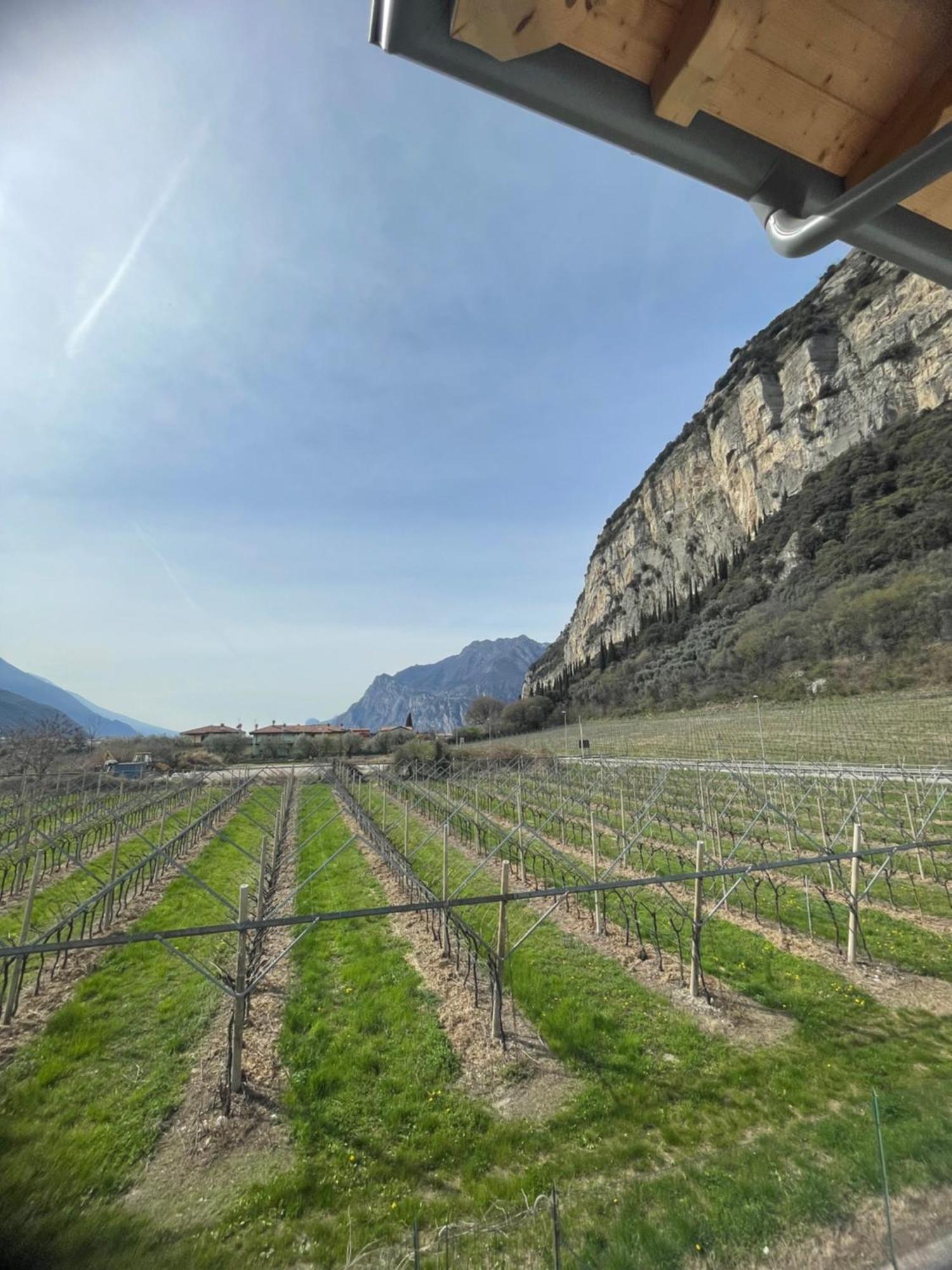 Bed and Breakfast Lotus Garda Riva del Garda Exterior foto